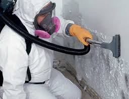 Environmental Consulting for Mold Prevention in Jackson Center, OH